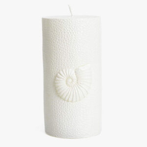 Ornare sed consequat nisl eget mi porttitor